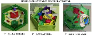 modelos célula vegetal