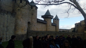 carcassonne1