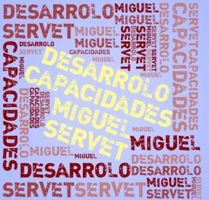 desarrollo capacidades