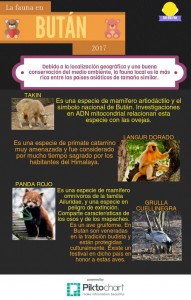 GuoRuiInfografia