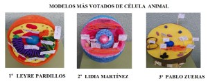 modelos célula animal