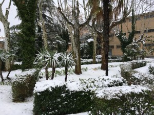 IMG_3438