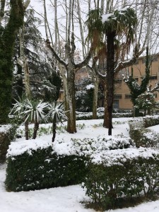 IMG_3441