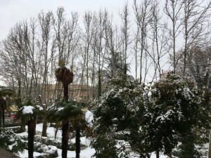 IMG_3444