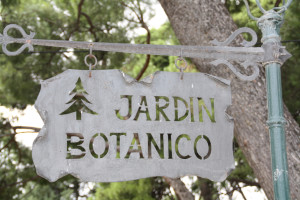 Jardín botánico